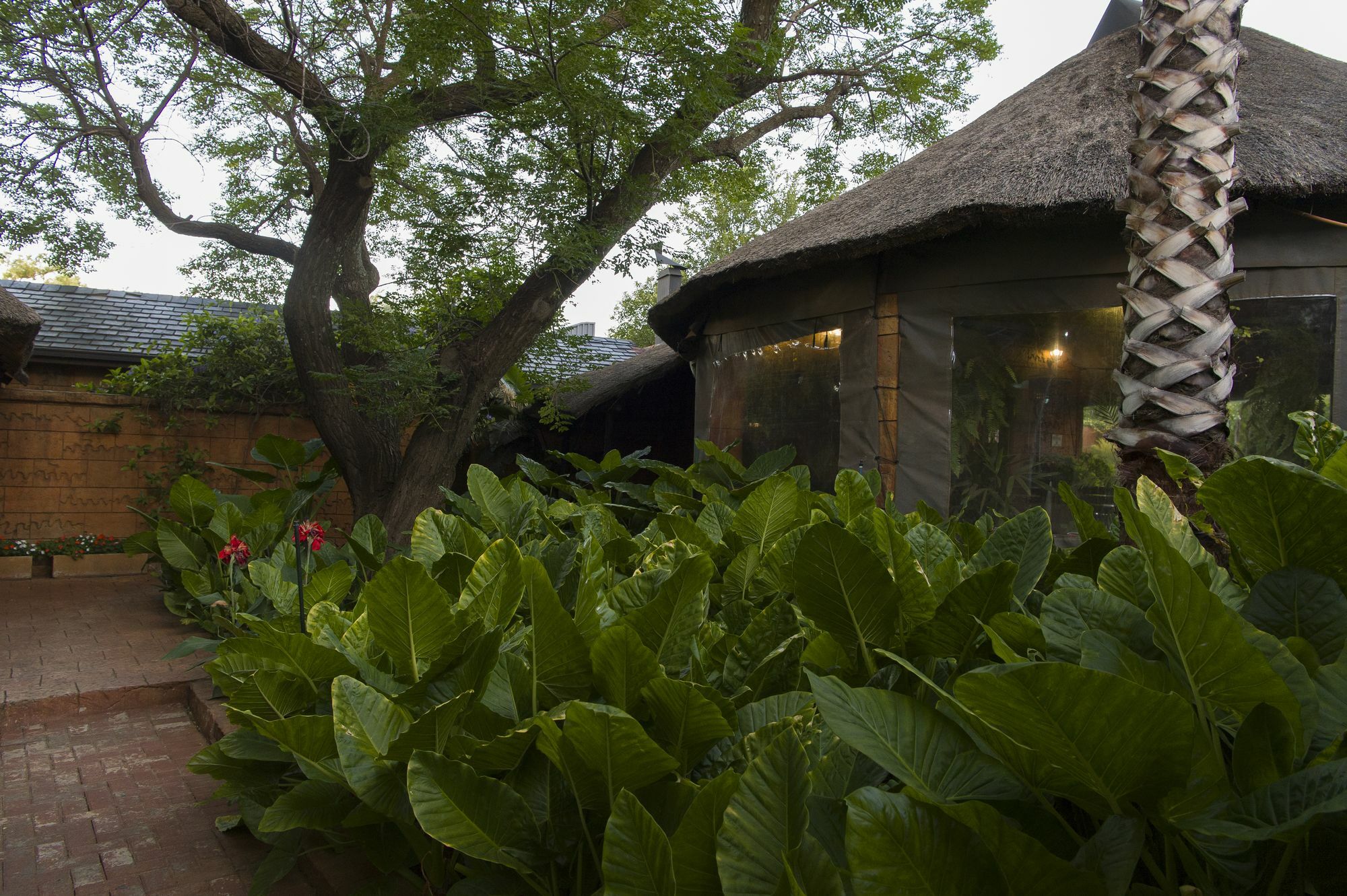 Bayswater Lodge Bloemfontein Eksteriør billede